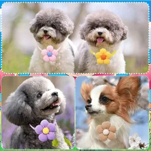 Cute adjustable flower pet collar for small dogs and cats in multiple vibrant colors