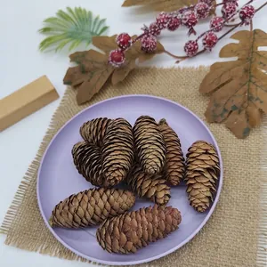 Natural brown pine cones on a purple plate for Christmas and autumn DIY decor.