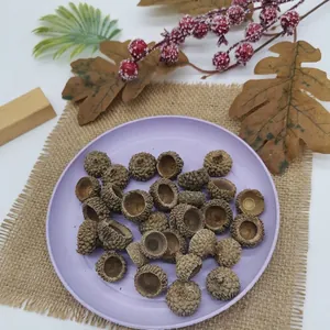 Detail view of natural dried acorn caps displayed on a purple plate for DIY crafts
