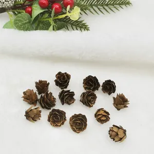 Natural mini larch pine cones 1.5-2.5cm for rustic Christmas DIY crafts decoration