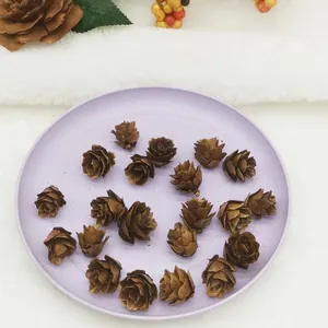 Natural mini larch pine cones 1.5-2.5cm for rustic Christmas decor and handmade crafts