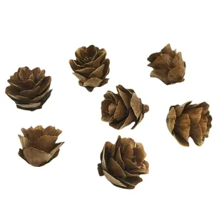 Natural dried mini larch cones 1.5-2.5cm set for rustic Christmas floral crafts decoration