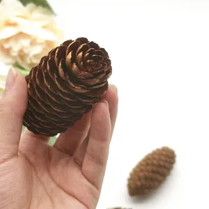 Hand-held natural dried spruce pine cones perfect for Christmas DIY decor and festive wreaths