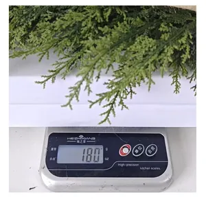 Foto di dettaglio che mostra la misurazione precisa del peso di 180g per questo fogliame natalizio