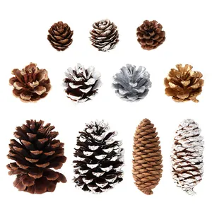 Collezione di pigne decorative naturali e dipinte per lavoretti natalizi fai-da-te
