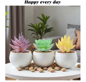 Primer plano de tres plantas suculentas artificiales de colores en macetas decorativas