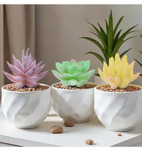 Juego de tres suculentas artificiales realistas en macetas blancas para decoración.