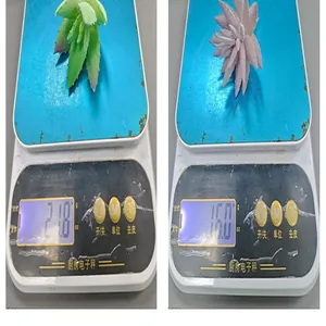 Medición de peso de suculentas artificiales realistas verdes y rosas.