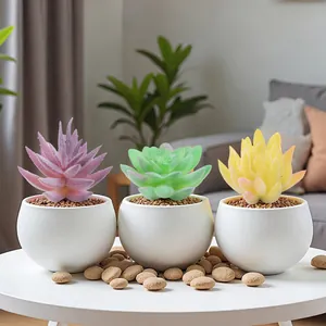 Juego de tres plantas suculentas artificiales realistas en macetas blancas decor