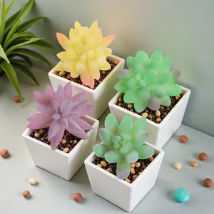 Juego de 4 plantas suculentas artificiales realistas en macetas blancas para decoración de mesa