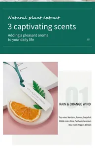Tablette de cire parfumée pour armoire avec orange séchée et ruban vert détail