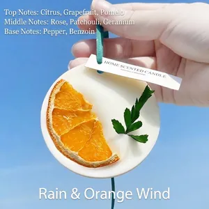 Tablette de cire parfumée à l'orange pour l'armoire et le parfum d'ambiance.