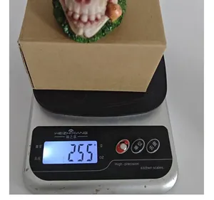 Vue macro d'un crâne en résine sur une balance indiquant un poids de 255g