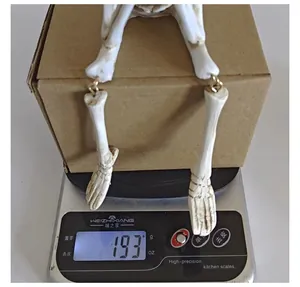 Detailed weight demonstration of Halloween resin skeleton ornament showing 193g on a scale.