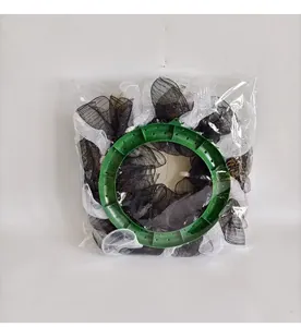 Graduation mesh wreath in protective plastic packaging for classroom door decoration