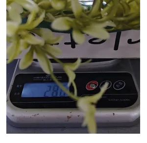 Detailopname van het gewicht van 286g van de kunstmatige groene krans op een digitale schaal.