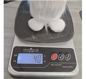 Détail d'un gnome de Pâques de 40g mesuré sur une balance de cuisine numérique.