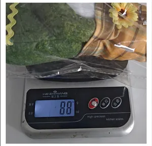 Detailed view of a harvest festival plush gnome doll being weighed at 88 grams on a scale