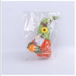 Detail view of Harvest Festival gnome plush holding a pumpkin in plastic packaging