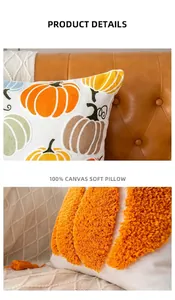 Macro view showing the soft texture and embroidered pumpkin details of a 100% canvas pillow