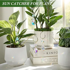 Detail of 4pcs crystal sun catchers hanging in plants, creating rainbow reflections.