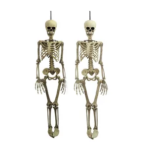 Set van twee realistische menselijke Halloween-skeletten voor griezelige feesten