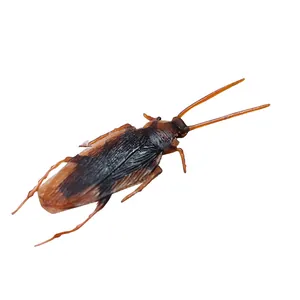 Cucaracha falsa realista para bromas y trucos, insecto de plástico resistente