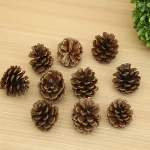 Collezione di pigne naturali essiccate su un tavolo di legno chiaro per decori natalizi.