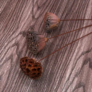 Dettaglio di tre capsule di loto essiccate naturali su lunghi steli marroni per decorazione.