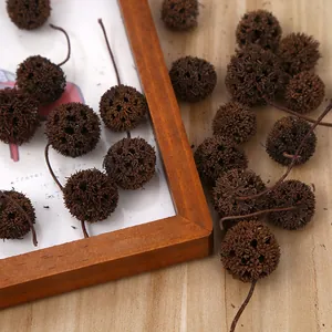 Dettaglio macro di frutti secchi naturali con steli per decorazioni natalizie.