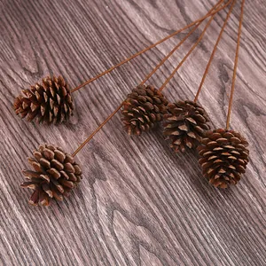 Set di cinque pigne naturali essiccate con lunghi steli marroni per decorazioni natalizie