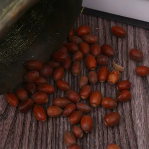 Primo piano di ghiande essiccate naturali su una superficie di legno strutturata
