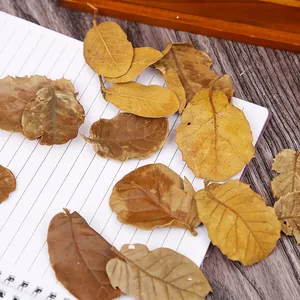 Primo piano di foglie secche naturali assortite per decorazioni natalizie in stile rustico