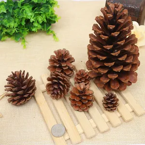 Pigne Naturali Essiccate Grandi Ornamenti Natalizi Per Decorazioni Domestiche Matrimonio Decorazione Rustica In Legno Botanico