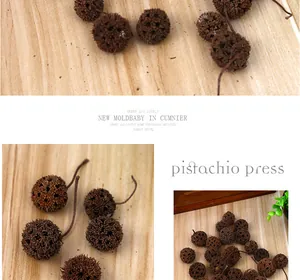Natural dried decorative seed pods for Christmas DIY crafts and photography props