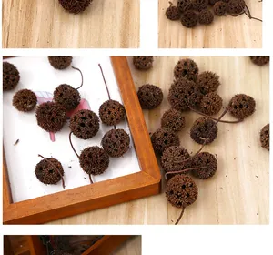 Close-up of rustic dried sweetgum fruit pods for natural DIY Christmas decorations