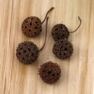 Natural dried sweetgum balls for Christmas DIY crafts, rustic home decor and floral arrangements