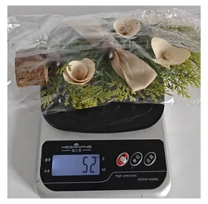Vue détaillée montrant le poids de 52g de la plante de Noël artificielle de 25cm sur une balance