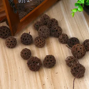 Natural dried Liquidambar seed pods for DIY Christmas decor and photography props