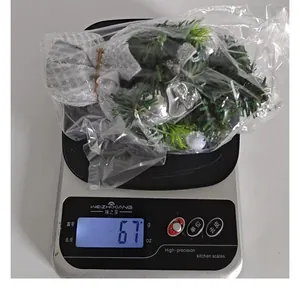 Detail shot of mini Christmas tree on a digital scale showing weight of 67g