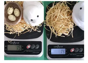 Dettaglio del set decorativo anatra e nido di Pasqua leggero da 15g sulla bilancia