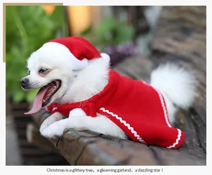 Cachorro blanco con capa y gorro de Navidad rojos festivos sobre fondo de madera rústica.