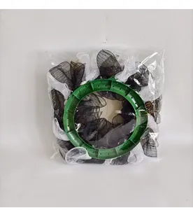 Vue arrière détaillée de la couronne de remise de diplôme avec base verte emballée
