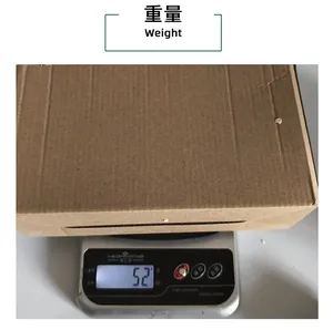 Photo détaillée montrant le poids de 521 g de la figurine de squelette