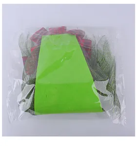 Detail view of Christmas wreath decoration in clear plastic packaging for festive doors