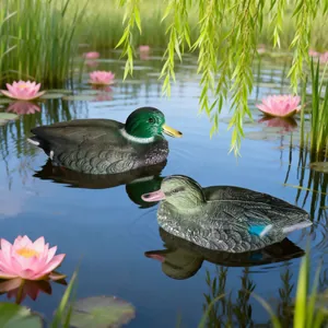Detail view of highly realistic floating mallard duck decoys in a natural pond setting