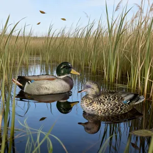 Pair of realistic mallard duck decoys floating in a natural marsh pond with reeds