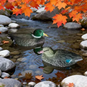 Ultra-realistic floating mallard duck decoys for outdoor garden ponds and hunting decoys.