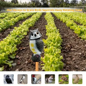 Realistic plastic owl decoy with rotating head to protect garden crops from birds