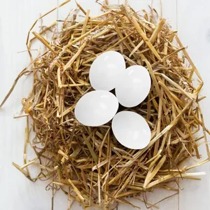 Four white blank DIY Easter eggs placed in a natural straw nest for craft decoration.